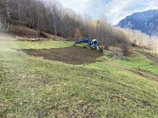 IMG_2841 Petite.jpeg