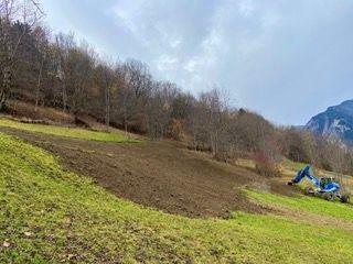 IMG_2848 Petite.jpeg