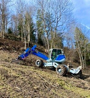 IMG_3421 Petite.jpeg